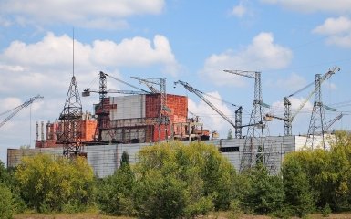 Загадкова пліснява перевершила усі очікування