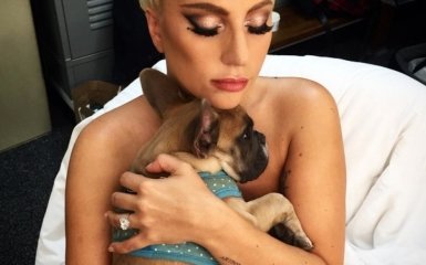 Леди Гага со своим любимцем