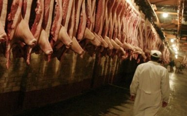 Павленко: планируется отменить аудит экспортной продукции из Канады