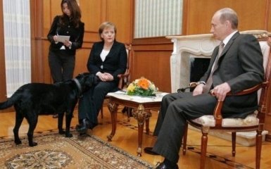 Собака по кличці Путін: між Німеччиною і Росією назріває скандал