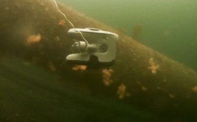 В сети обнародовали первые фото и видео разорванной трубы Северного потока-1