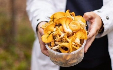 Ученые назвали продукт, который снижает риск рака на 45%