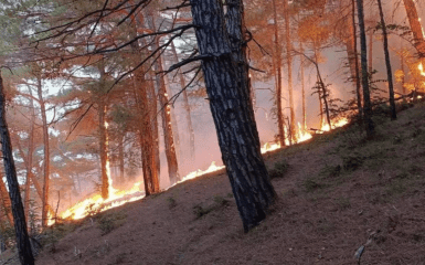 New “bavovna” has reached Putin’s winery