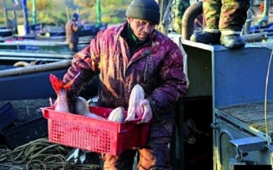 Скандал с подставными людьми Путина: в сети обсудили фото настоящих рыбаков