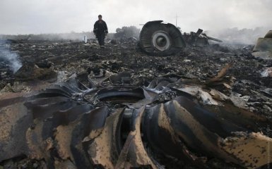 Гибель Boeing над Донбассом: стало известно, когда появятся результаты расследования