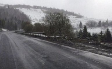 Аварийный участок трассы Киев-Чоп полностью перекроют - известна дата