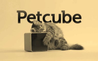 Petcube представил на CES 2016 облачный сервис Petcube Protect