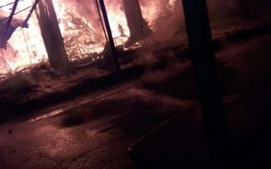 На популярному курорті України сталася велика пожежа: опубліковані фото і відео