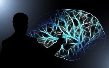 Вчені з'ясували, яка їжа може пришвидшити старіння мозку