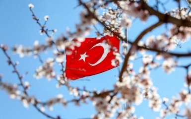 В Турции объяснили, распространяется ли двухнедельный локдаун на туристов