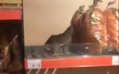 Появилось видео с крысой на полке киевского супермаркета