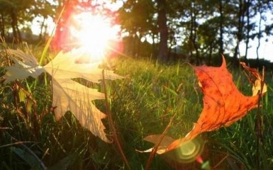 З осені в Україну прийде потепління: з'явився прогноз погоди на перші дні вересня