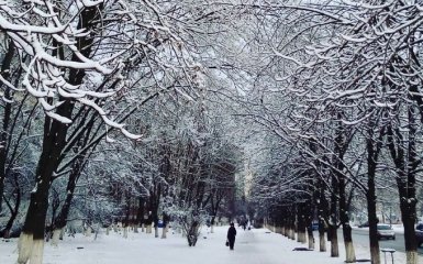 Киев накрыл мощный снегопад, на дорогах коллапс: первые яркие фото и видео