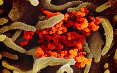 В Україні підтвердили шокуючі дані про коронавірус