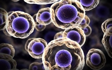 Прорив в регенеративній медицині: в Торонто відкриють завод з виробництва стовбурових клітин
