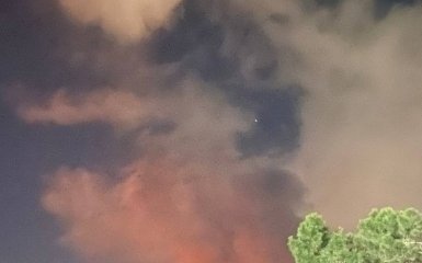 Бавовна в России 11 апреля - последние подробности