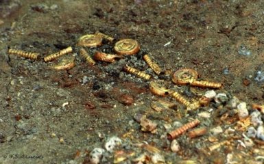 В румынском лесу нашли клад с тысячами средневековых монет