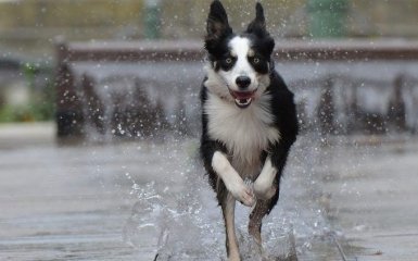 В Украине резко ухудшится погода - украинцев предупредили об опасности