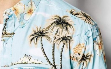 Конгрессменам США предложили по пятницам надевать гавайские рубашки