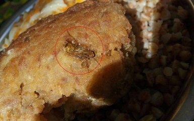 Радник Порошенка показав тарганів у солдатській їжі: опубліковані фото