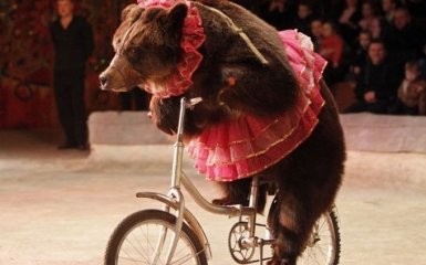 Столица без передвижных цирков-шапито: Киевсовет принял решение про запрет