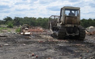 У Росії шокували обсягами знищених продуктів