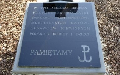 У Польщі ухвалили гучний документ про вину українців у геноциді