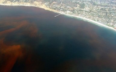 Ученые прогнозируют появление гигантской мертвой зоны