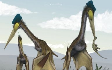 Крижаний дракон: вчені описали невідомих раніше летючих динозаврів