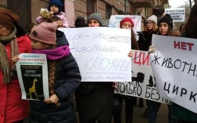 В Одессе неадекватный мужчина напал на зоозащитников: появилось видео
