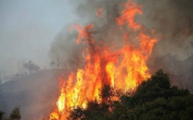 Смертельные пожары в Греции: опубликованы шокирующие видео