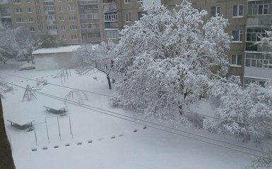Украину продолжает засыпать снегом: появились новые видео