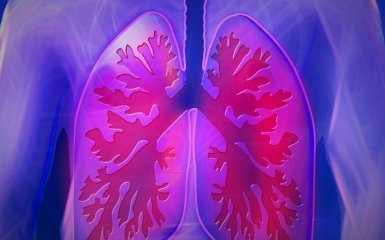 Легені відповідальні за наш імунітет