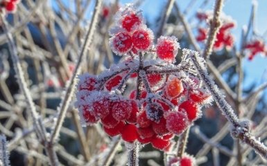 Зима приближается: украинцев предупредили о резком похолодании