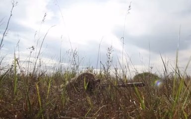 Разведка сообщила о российских военных, уничтоженных на Донбассе за последних два дня