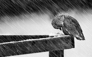 Погода в Украине 26 февраля: температура днем до +11, на северо-западе - дожди с мокрым снегом