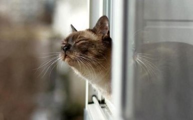 В Україні короткочасно потеплішає: з'явився прогноз синоптика