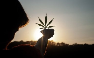 Украина планирует выращивать каннабис в Крыму после его деоккупации