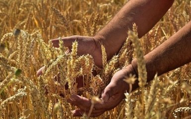 Венгрия запретила импорт агропродукции из Украины вслед за Польшей