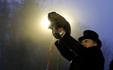 2 февраля в календаре: День сурка