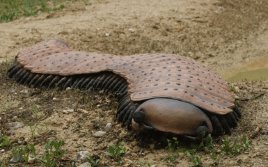 Доісторична істота