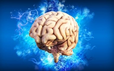 Чому міцна пам'ять шкодить інтелекту людини - відповідь вчених