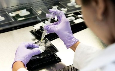 Когда закончится пандемия коронавируса - Британия озвучила ужасающий прогноз