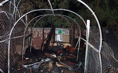 Загинули десятки тварин. У Києві підпалили притулок для котів — відео