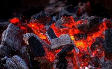 ЕС тормозит запрет на импорт угля из РФ из-за Германии