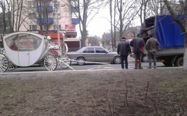 В Мариуполе лошадь везла карету с молодоженами и умерла: опубликованы фото