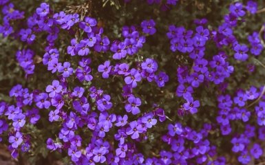 Погода в березні буде дуже теплою