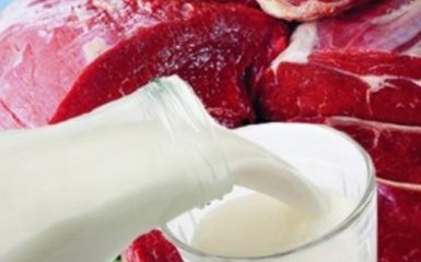 Украина будет поставлять в Молдову мясо и молоко