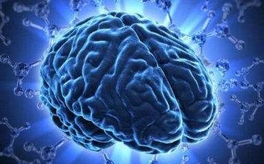 Вчені виявили в людському мозку метроном, який відміряє час