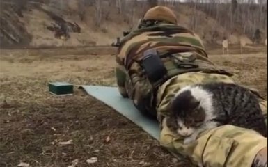 Спокойный солдатский кот: соцсети восхитило видео с полигона